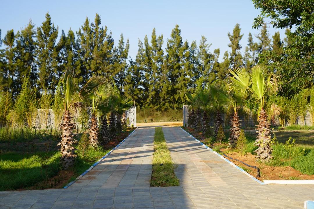 Photo of Others in Mograne