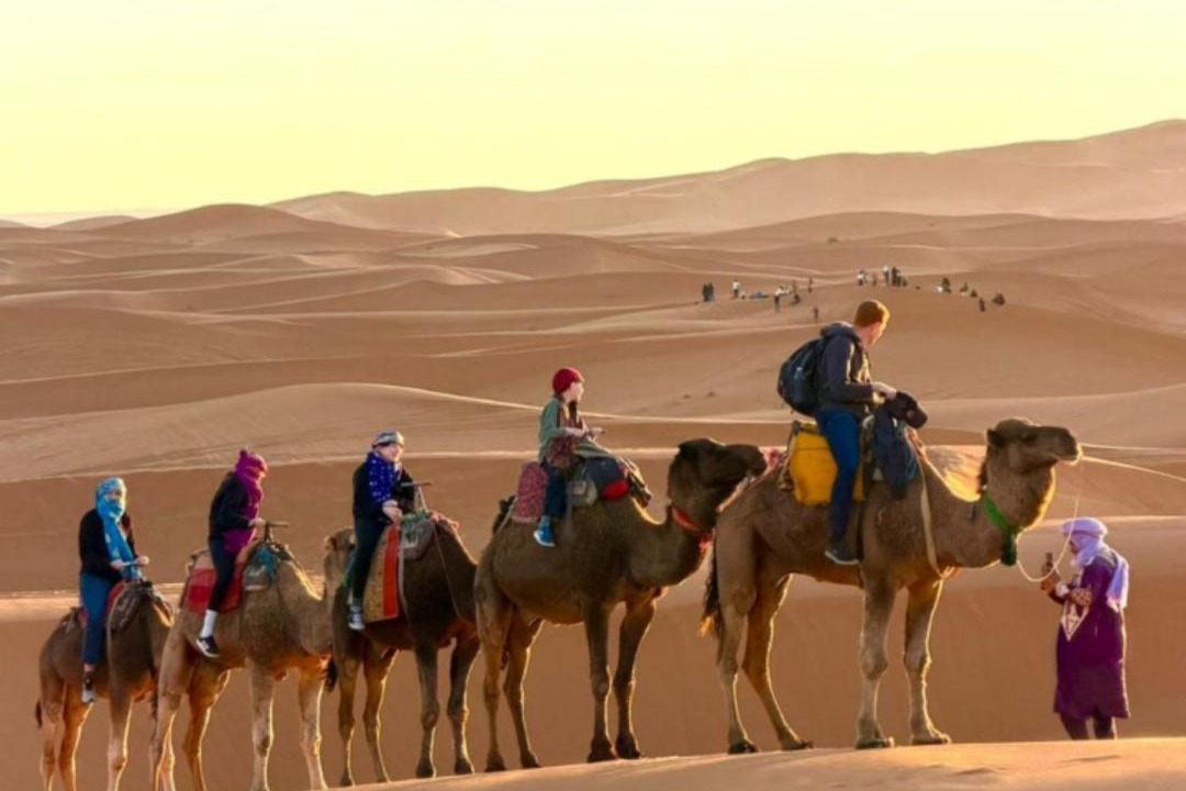 Photo of Human In Picture in Taouz
