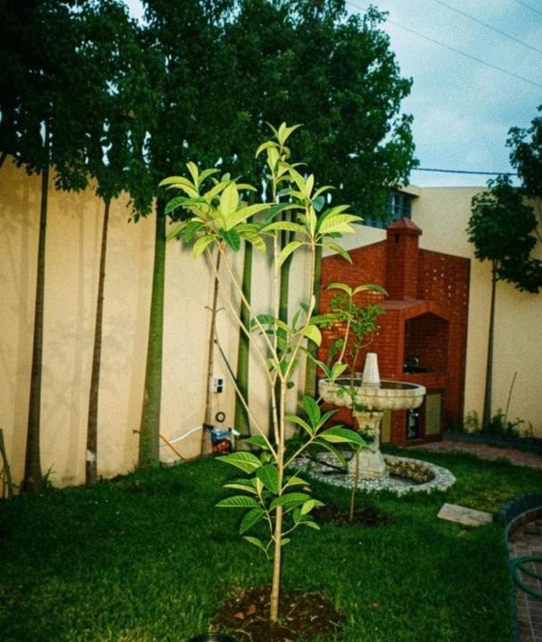 Photo of Outdoor in Oualidia
