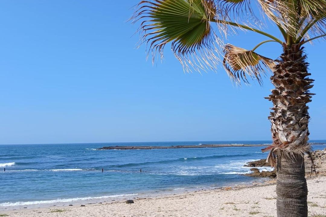 Photo of Others in El Mansouria