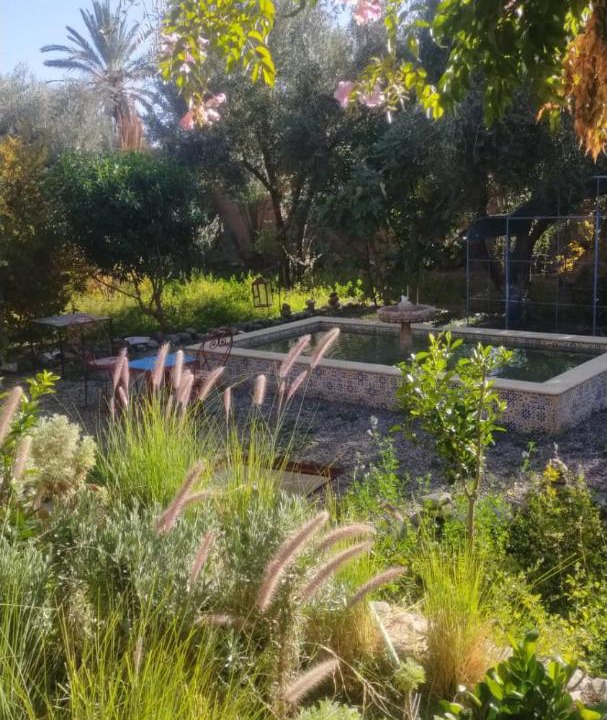 Photo of Others in Skoura