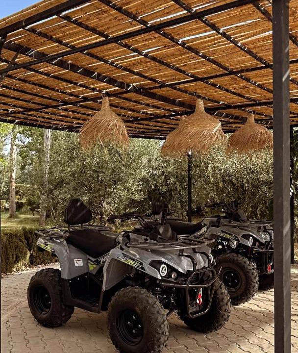 Photo of Outdoor in Dar Oum Soltane