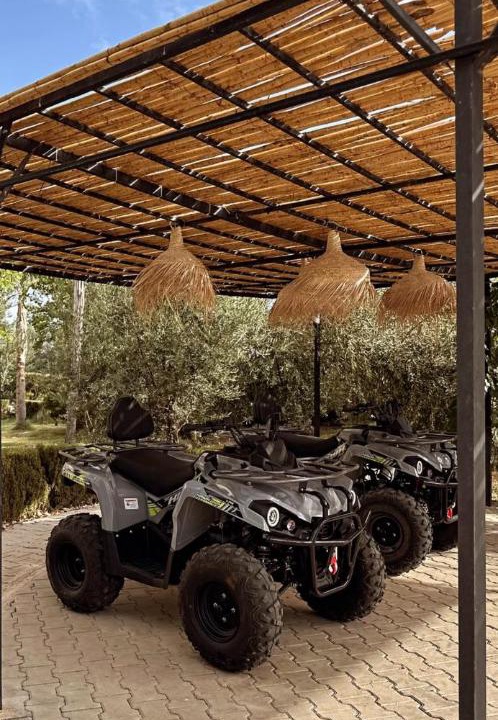 Photo of Outdoor in Dar Oum Soltane