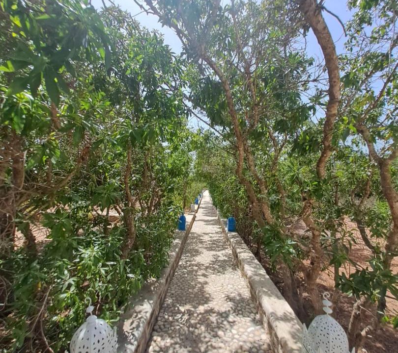 Photo of Others in Ounagha