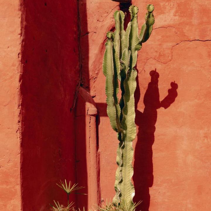 Photo of Others in Ghazoua