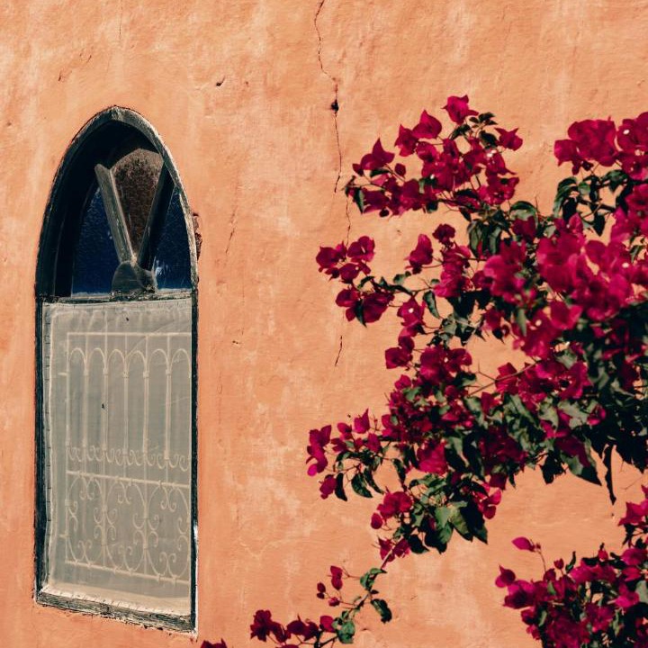 Photo of Others in Ghazoua