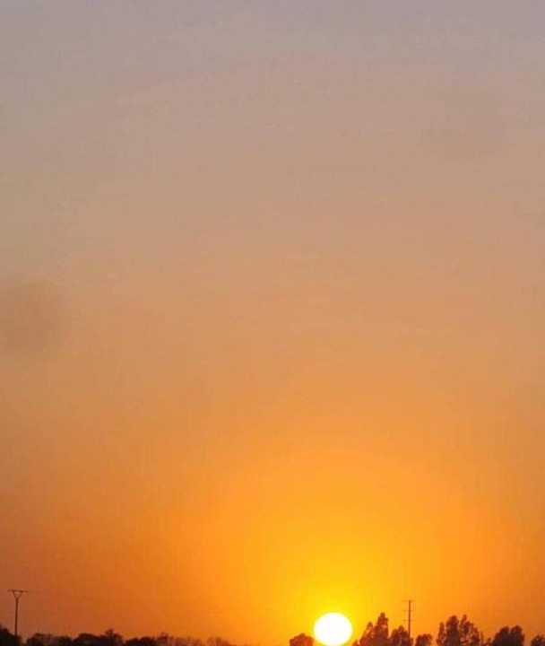 Photo of Others in Sidi Dahmane