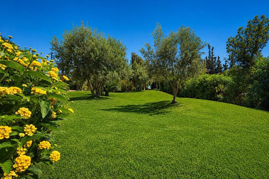 Photo of Outdoor in Tassoultante