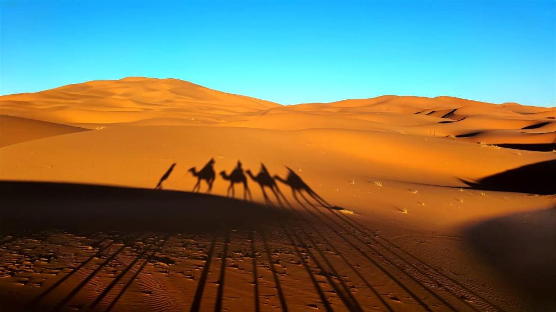 Photo of Others in Hassilabied