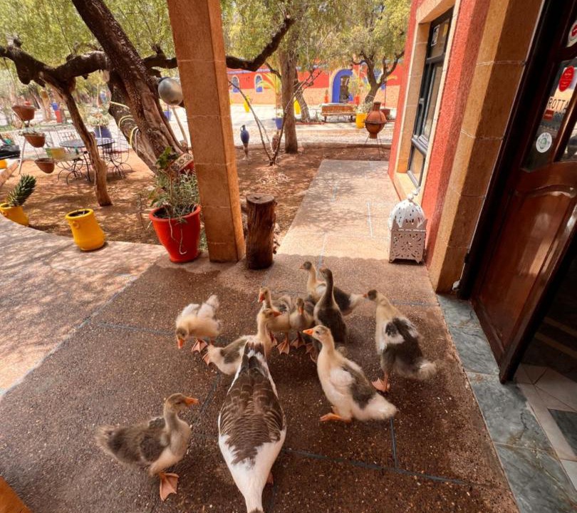 Photo of Others in Ida Ougourd