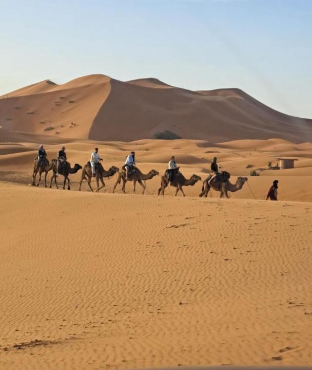 Photo of Others in Taouz