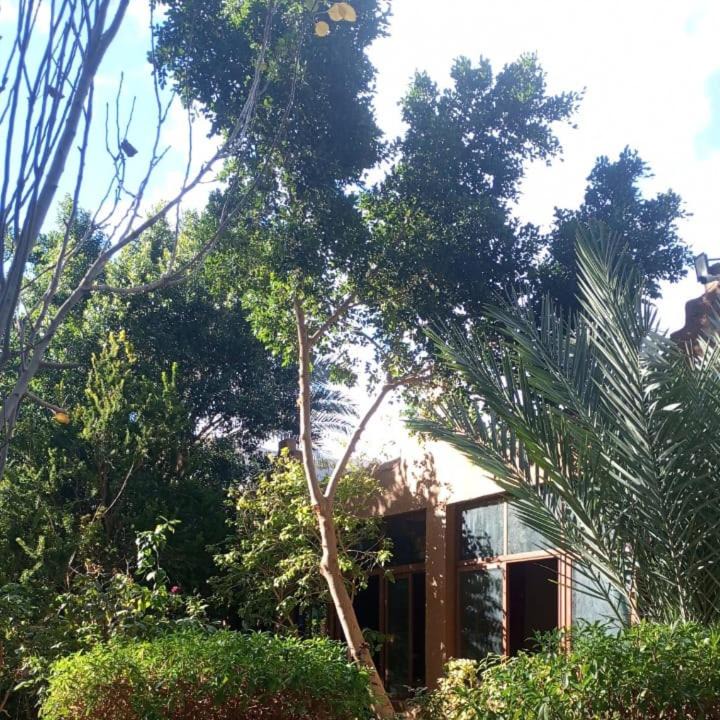 Photo of Others in Tamezmoute