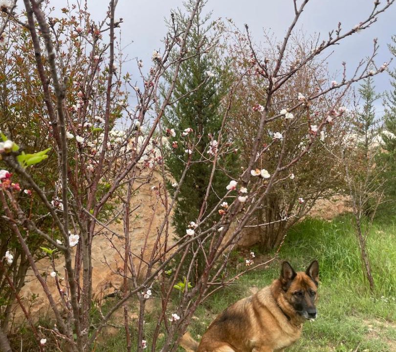 Photo of Outdoor in Tidzi