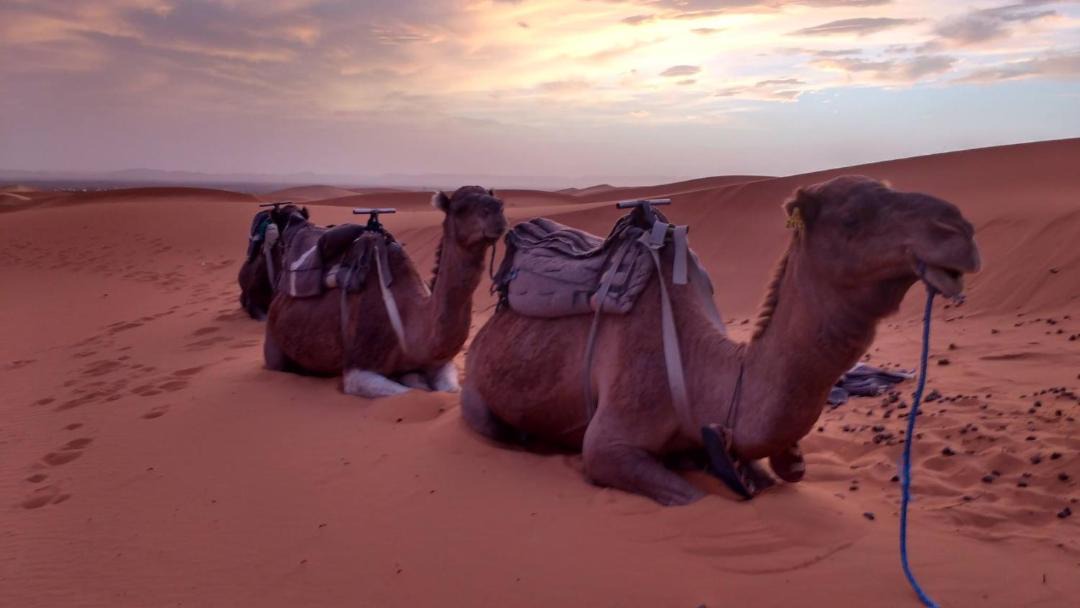 Photo of Others in Hassilabied