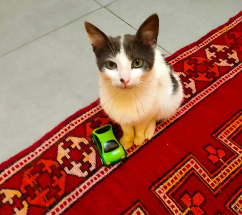 Photo of Others in Quettanine
