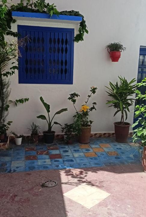 Photo of Others in Oualidia