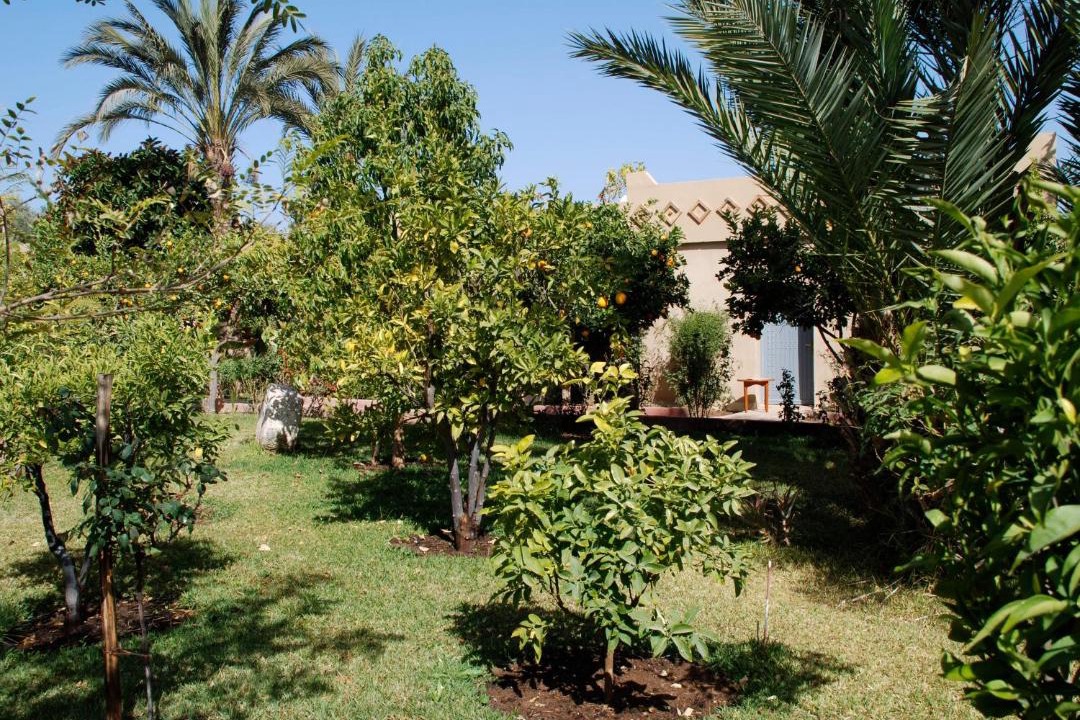 Photo of Others in Taroudannt