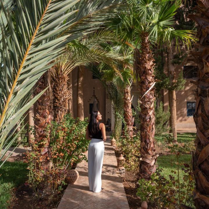 Photo of Others in Skoura