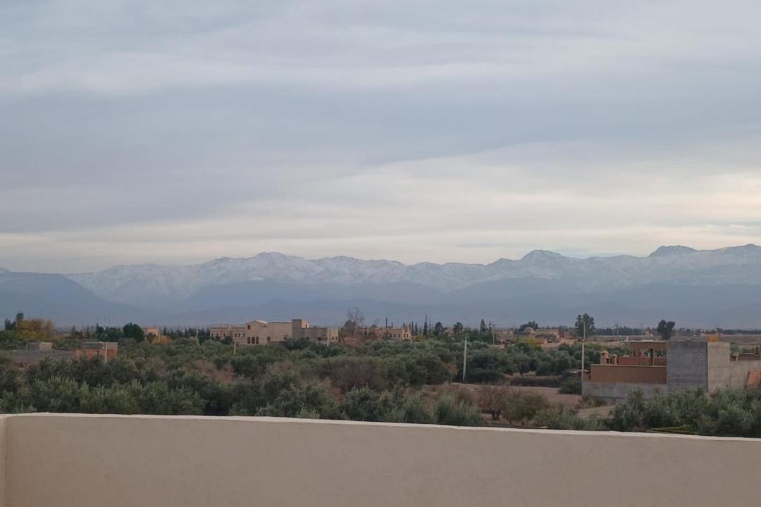 Photo of Others in Sidi Abdallah Ghiat