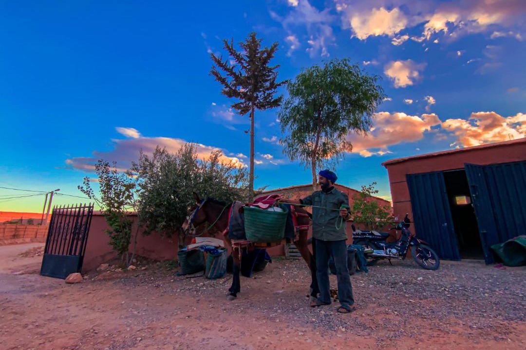 Photo of Others in Asfalou