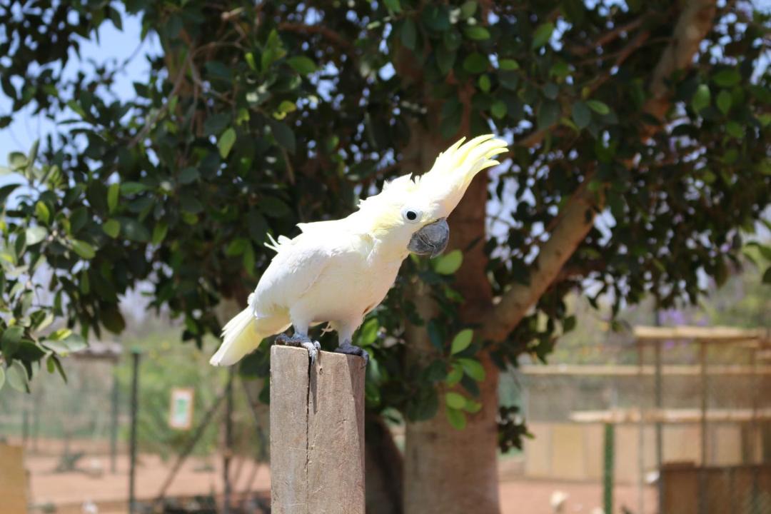 Photo of Others in Sidi Boumoussa