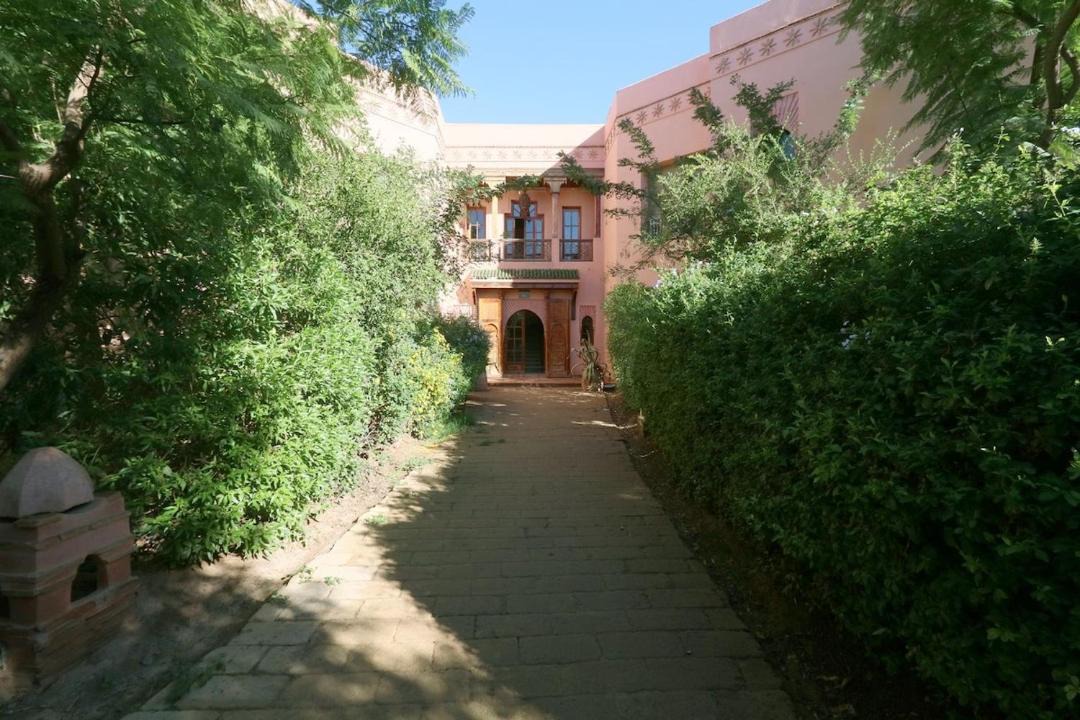 Photo of Others in Palmeraie