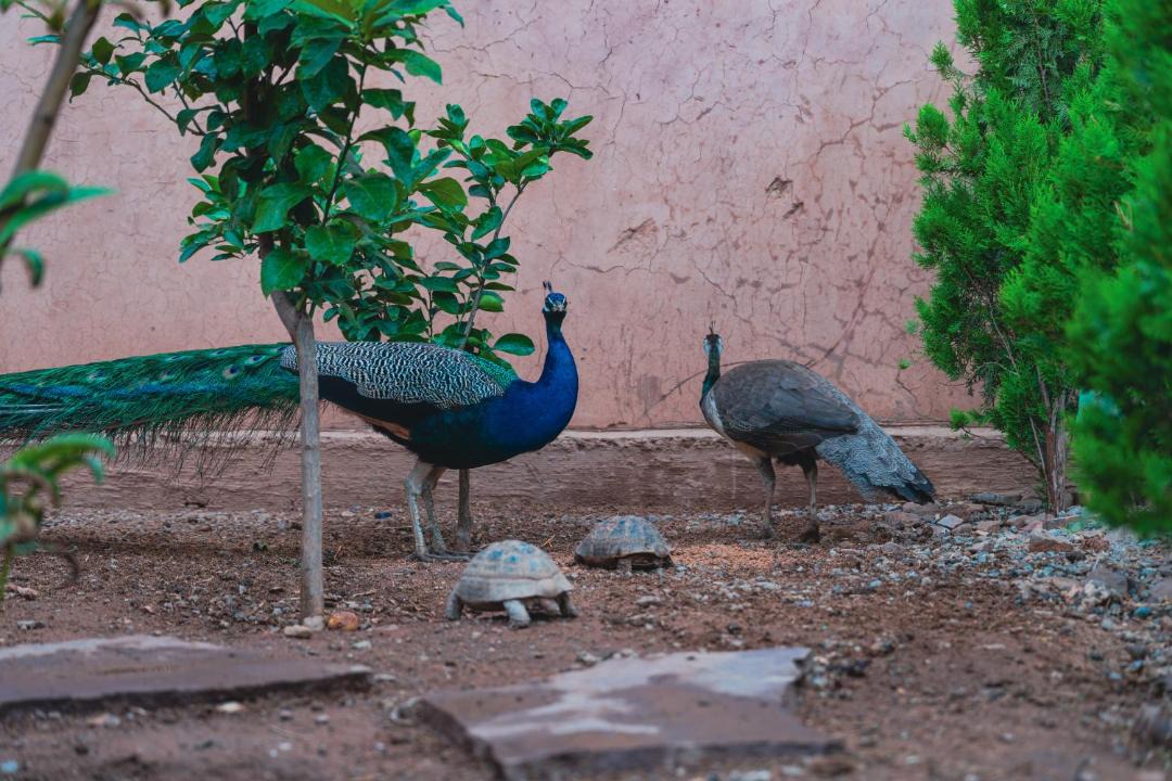 Photo of Others in Ghmate