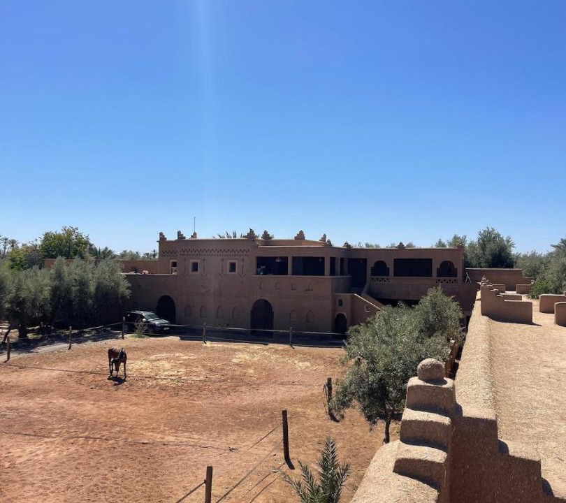 Photo of Others in Skoura