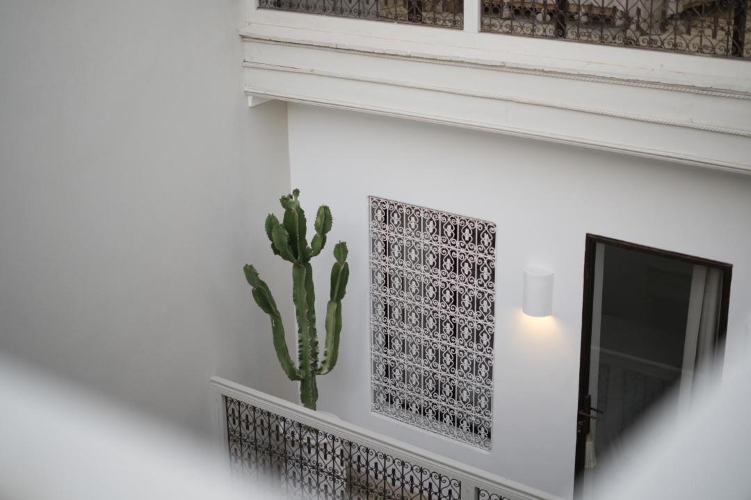 Photo of Others in Sidi Bou Amar