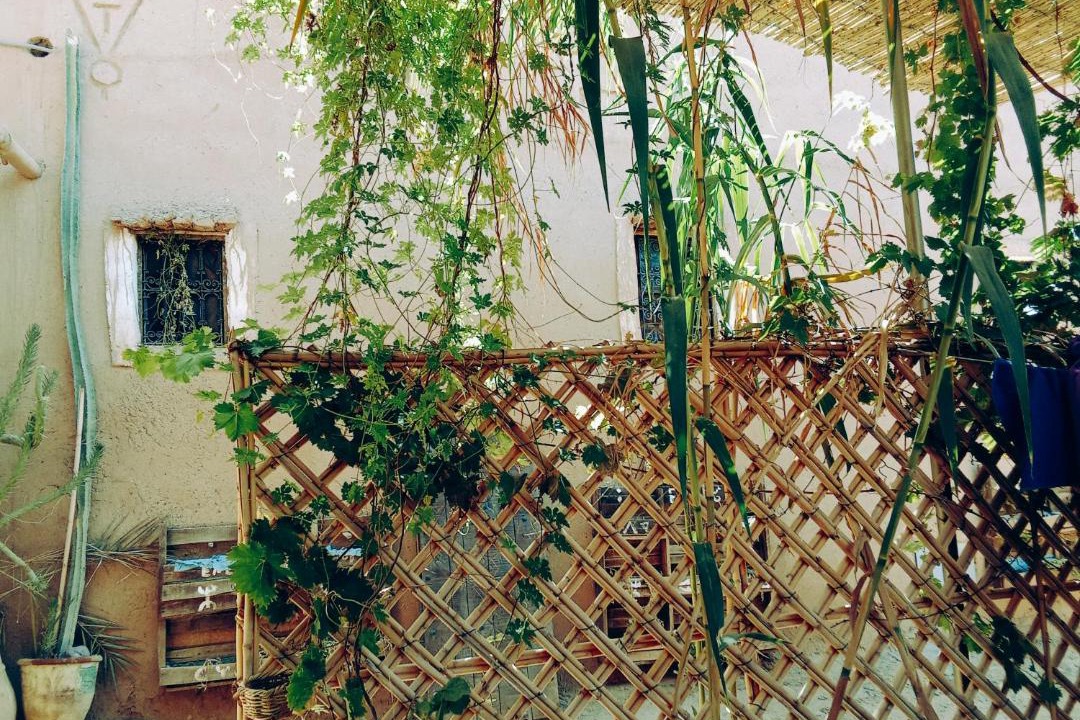 Photo of Others in Aremd