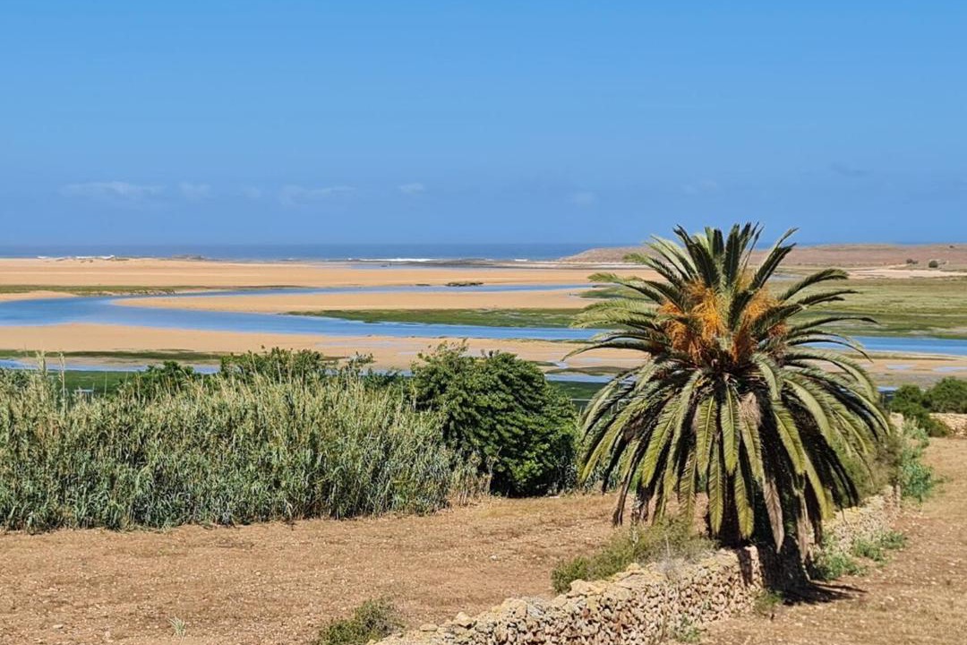 Photo of Others in Sidi Abed