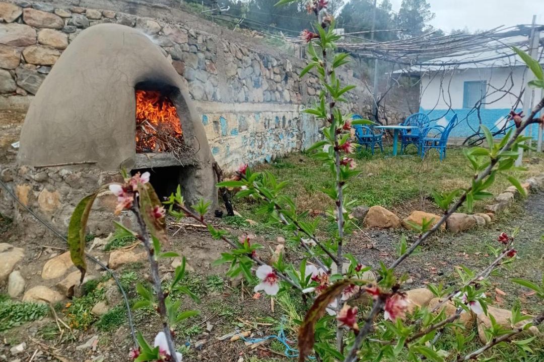 Photo of Others in Laghdir