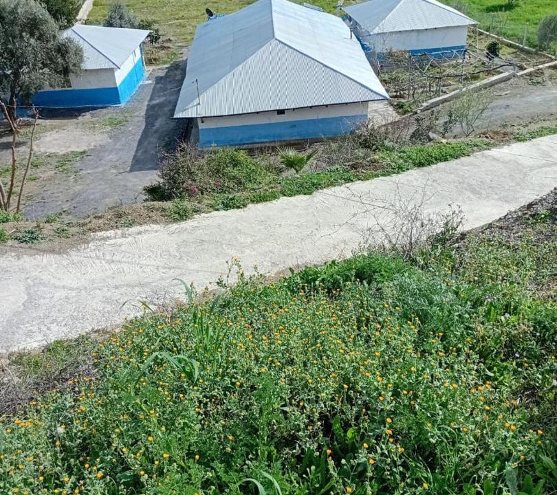 Photo of Others in Laghdir