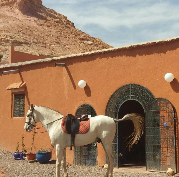 Photo of Others in Ait Benhaddou