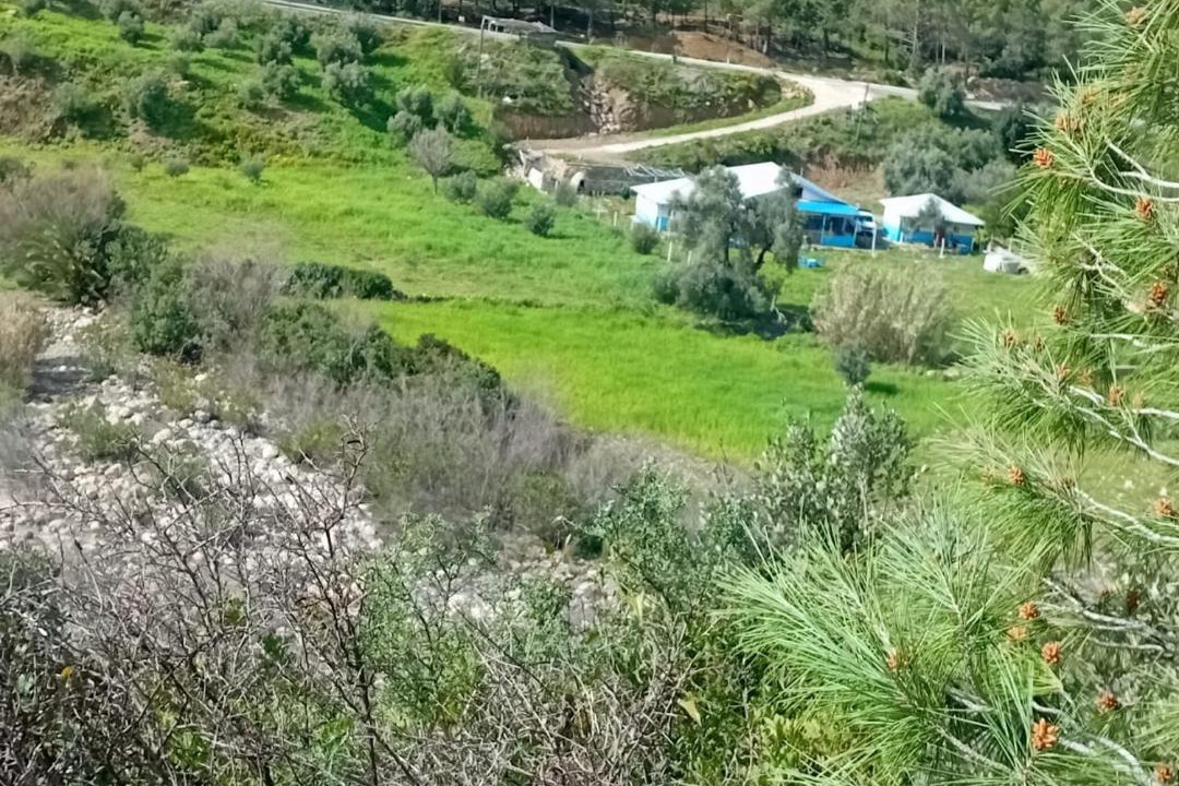 Photo of Others in Laghdir