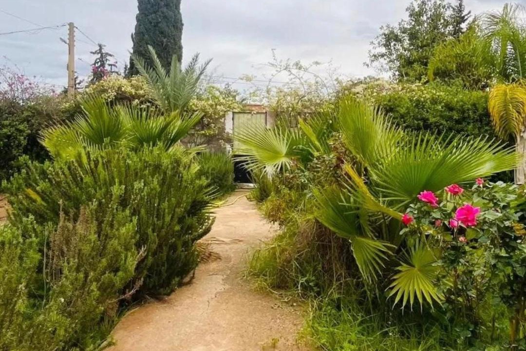 Photo of Outdoor in Bougriba