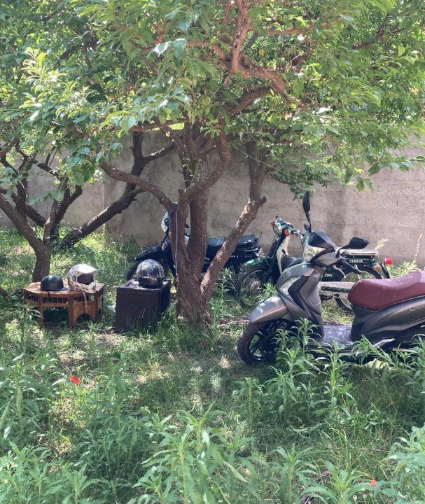 Photo of Outdoor in Tnine Ourika