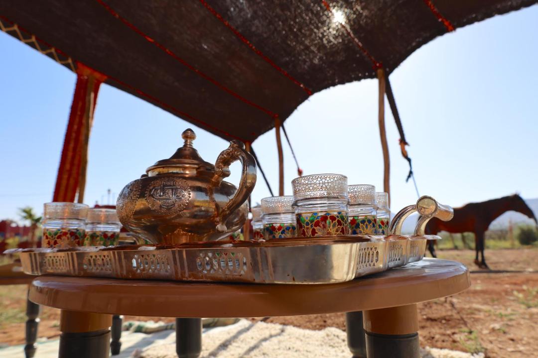 Photo of Others in Tafoughalt