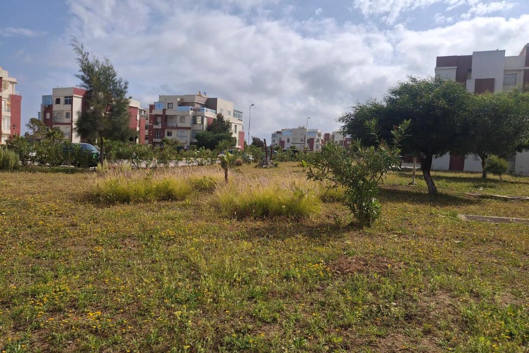 Photo of Others in Hjar Ennhal