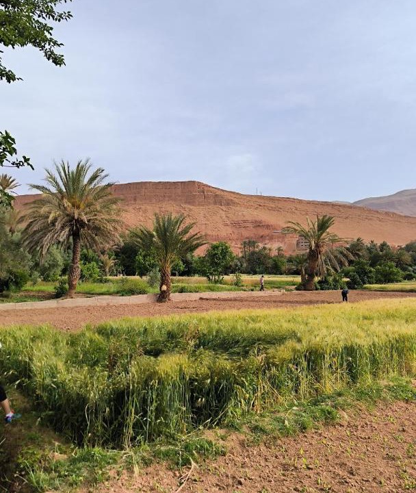Photo of Others in Toudgha El Oulia