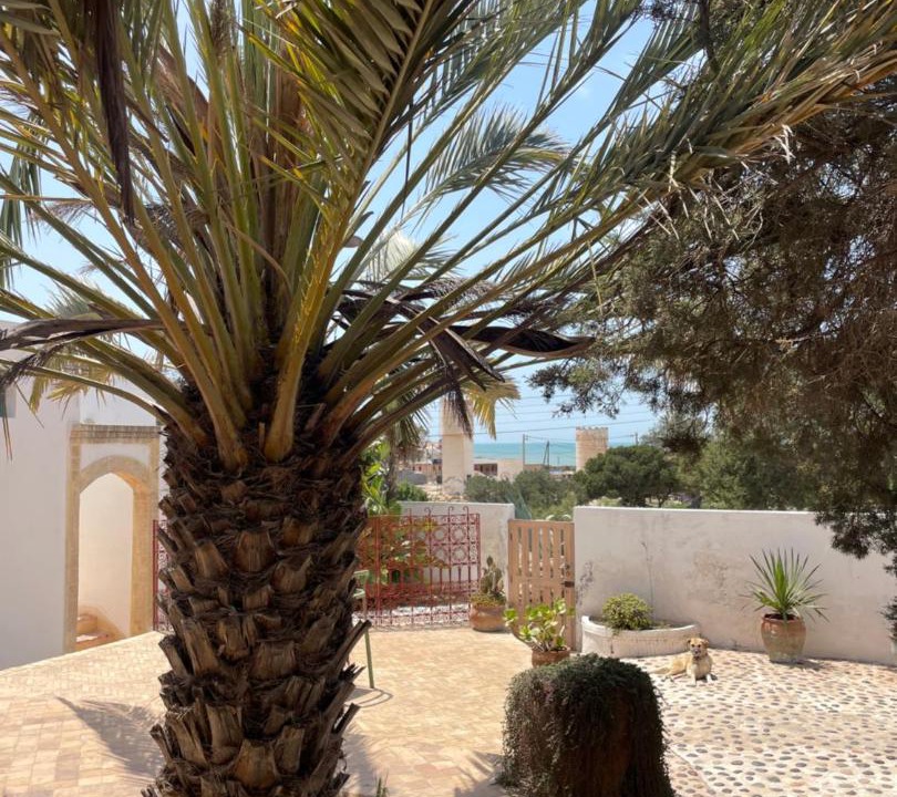 Photo of Others in Sidi Kaouki