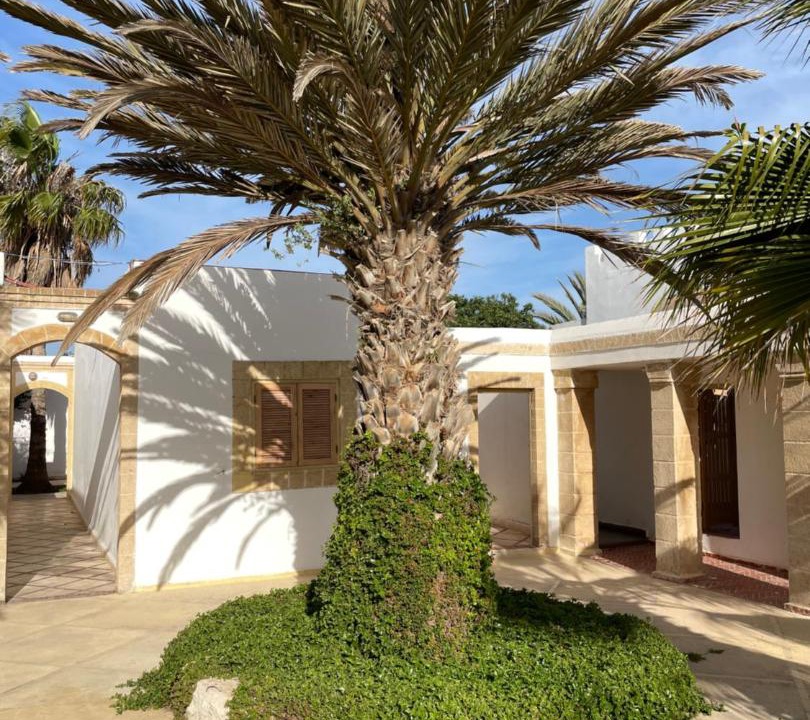 Photo of Others in Sidi Kaouki