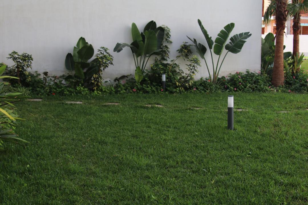 Photo of Others in Nouaceur