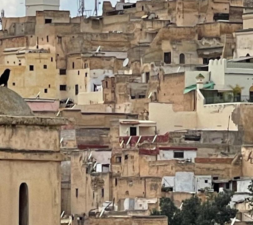 Photo of Others in El Mokhifa