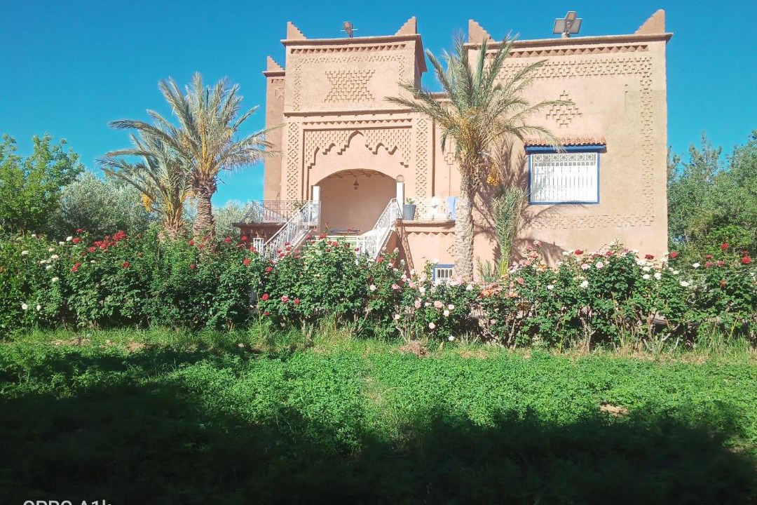 Photo of Others in Ghassate