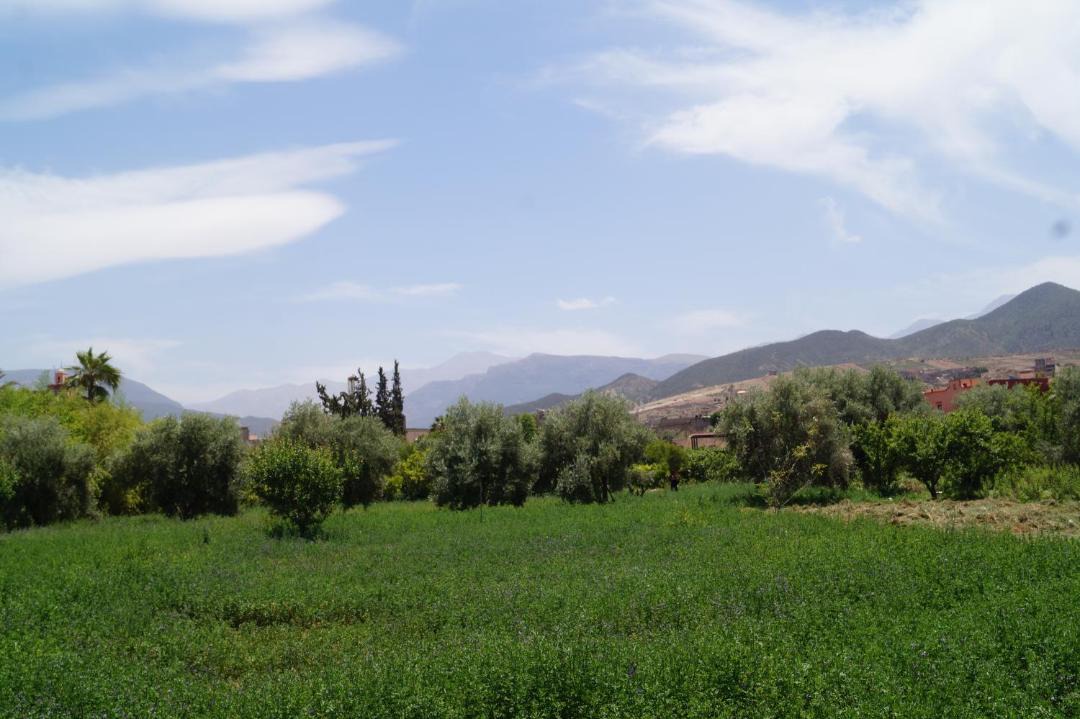 Photo of Others in Tnine Ourika
