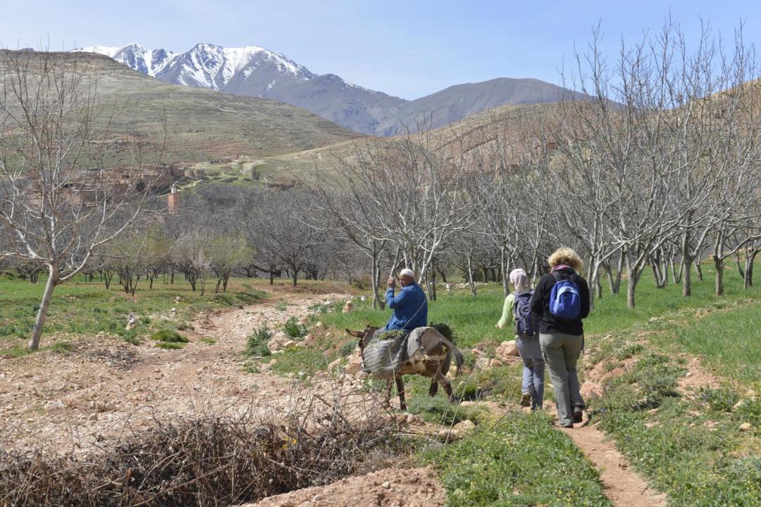 Photo of Others in Amizmiz