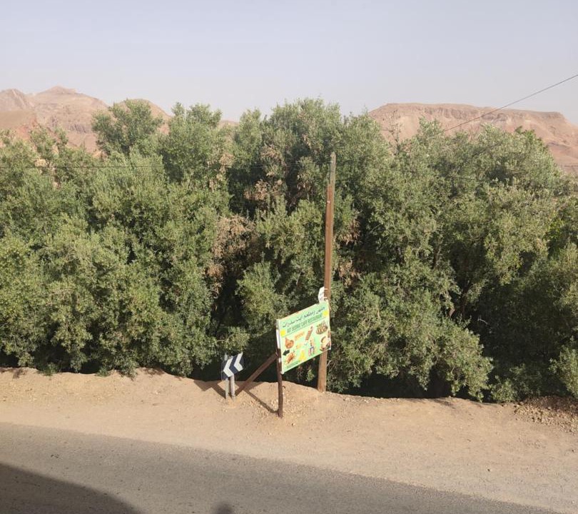 Photo of Others in Bou Tharar