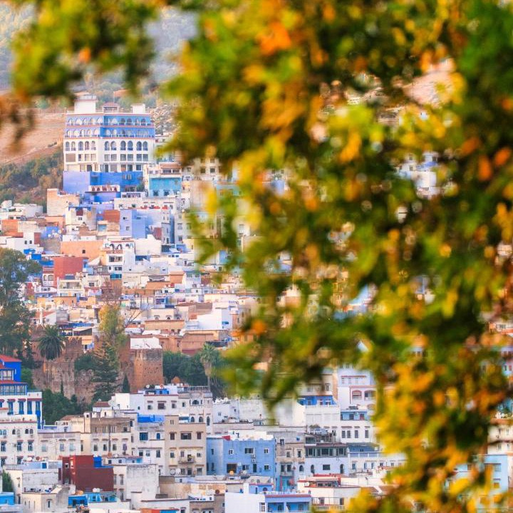 Photo of Others in Medina of Chefchaouen