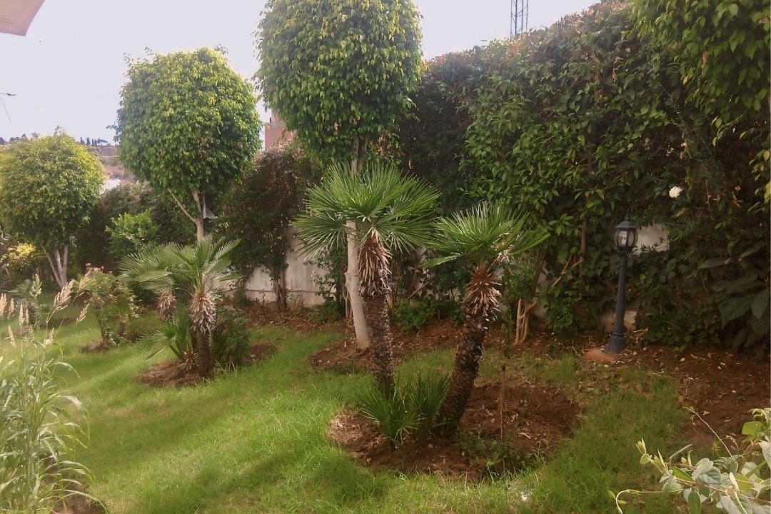 Photo of Others in Idrissia